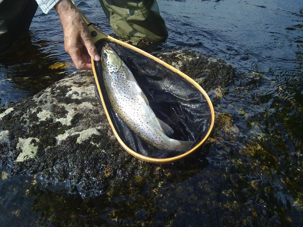 Hotelli Kainuu Kuhmo Eksteriør billede